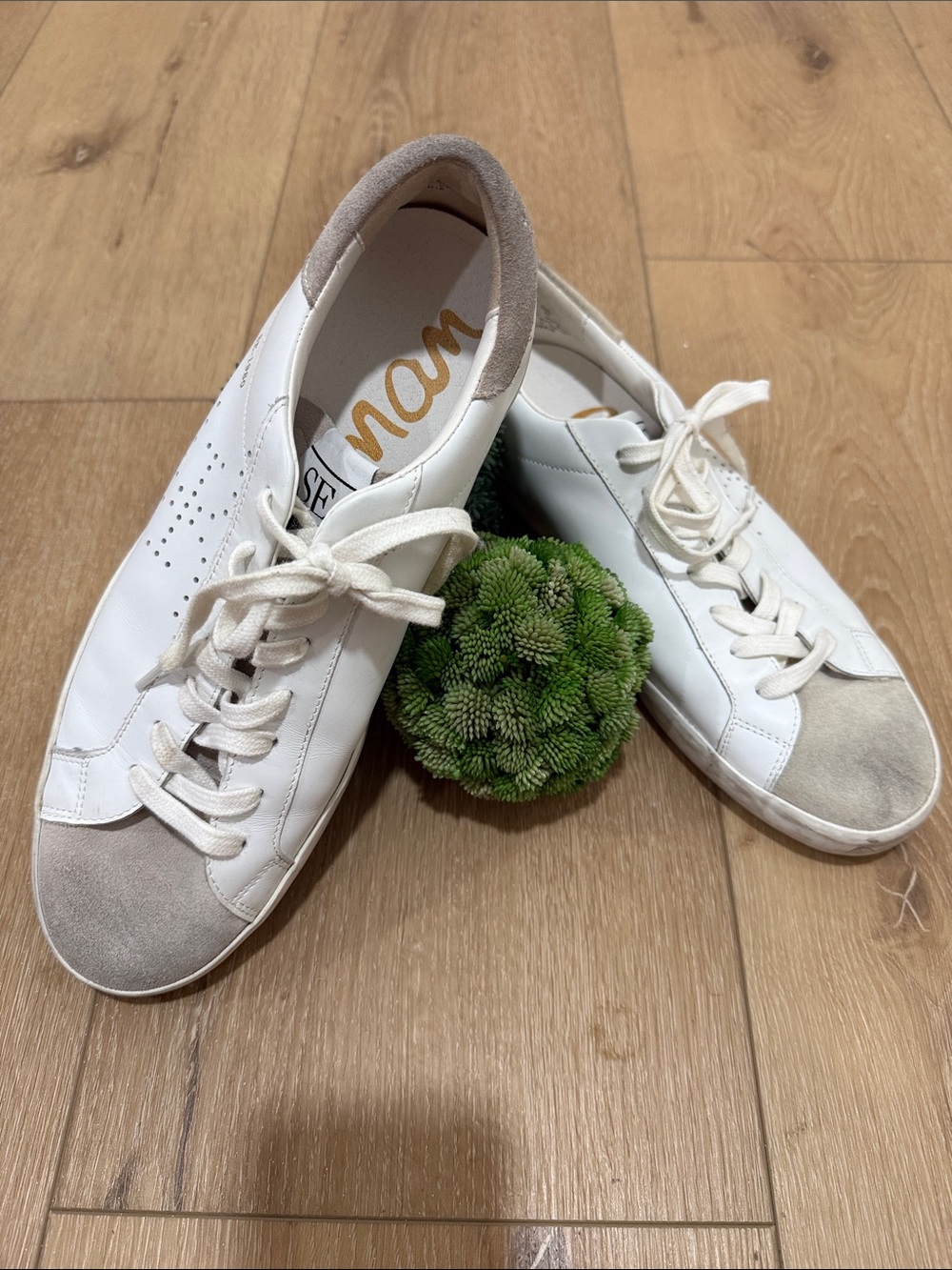 Sam Edelman Women's White & Beige Casual Lace-Up Sneakers - 10